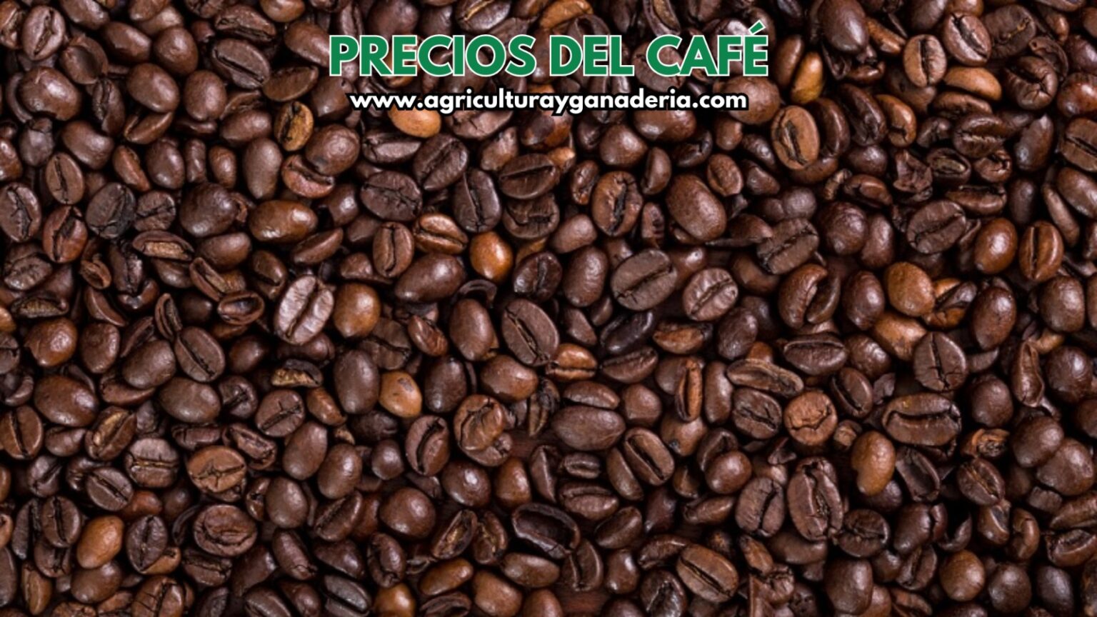 Precio interno de referencia para la compra de café pergamino seco por ...